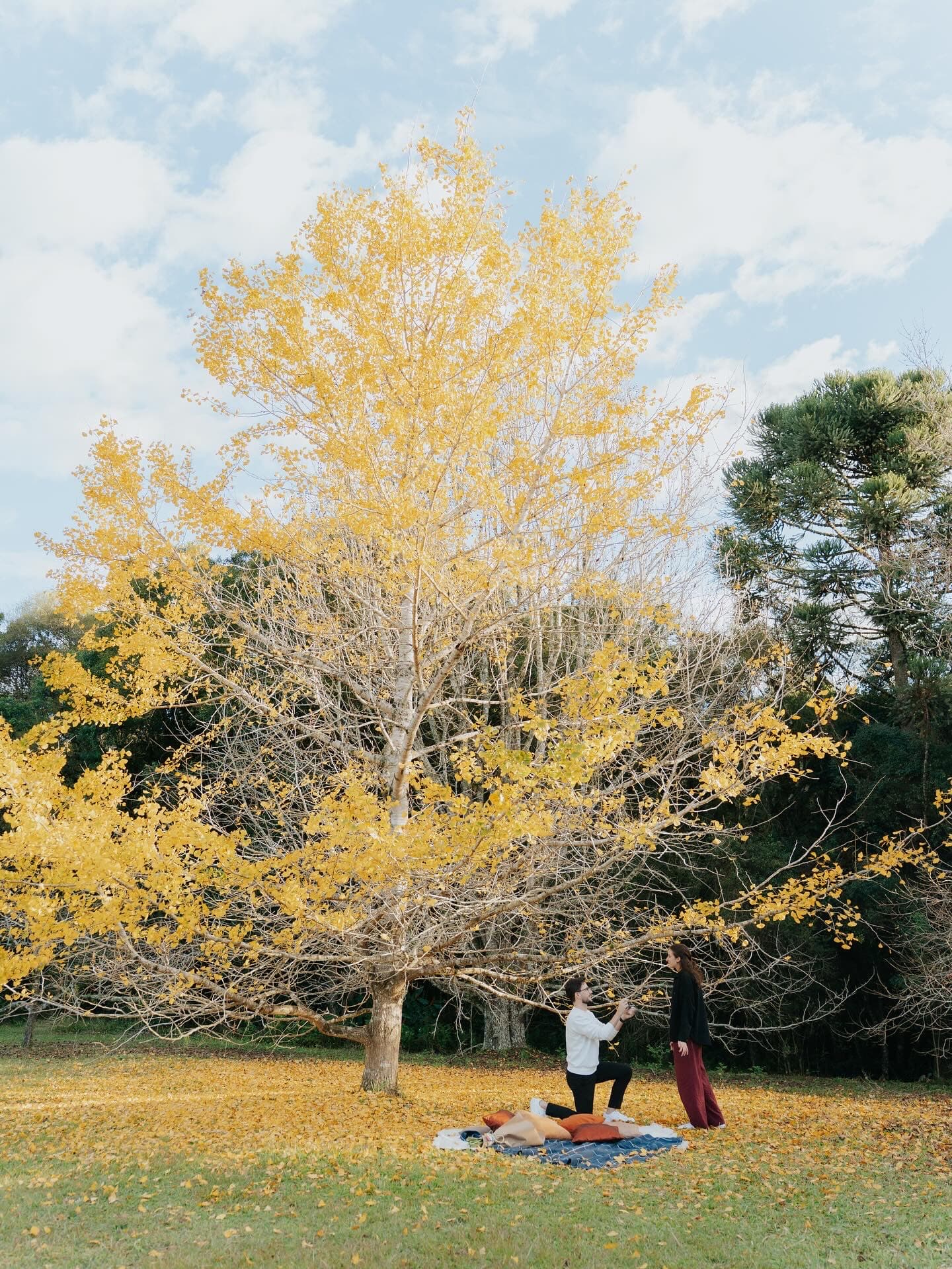 O momento do pedido de casamento